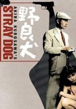 Бездомный пес