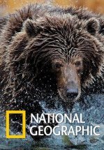 National Geographic. Империя гризли