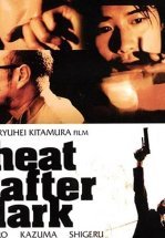 Ночная схватка