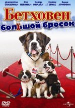 Бетховен: Большой бросок