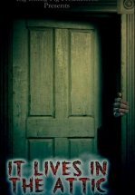 Он живёт на чердаке