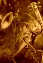 Веселые сценки из жизни животных