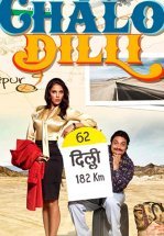 Поездка в Дели