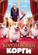 Королевский корги