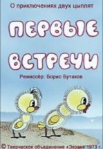 Первые встречи