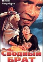 Сводный брат