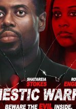 Домашняя битва