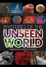 Тайны невидимого мира