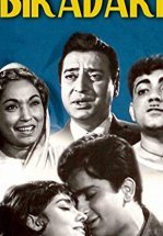 Мистер Бирадари