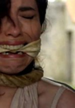 Убийства на острове Бель-Иль (ТВ)