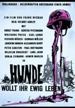 Собаки, хотите жить вечно?