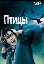Птицы