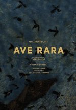 Редкая птица