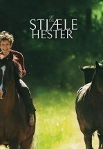 Угоняя лошадей