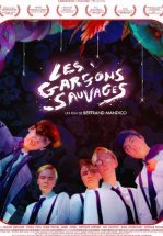 Дикие мальчишки