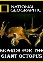 National Geographic. В поисках гигантского осьминога