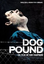 Загон для собак