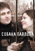 Собака Павлова