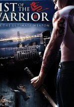 Кулак воина