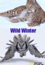 Зимний сезон