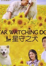 Пёс, смотрящий на звезды