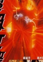 Суперледи — полицейский