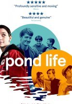 Жизнь в пруду