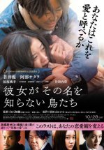 Птицы, которых она никогда не знала