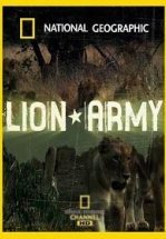 National Geographic. Львиная Армия