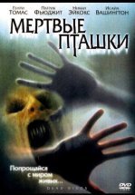 Мертвые пташки