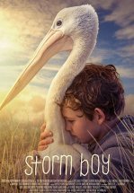 Штормовой мальчик