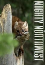 Прекрасная Америка: Величественный Северо-Запад. Под вулканом