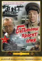 Батальоны просят огня