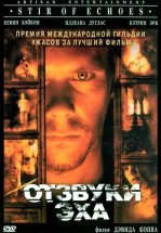 Отзвуки эха