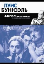 Ангел-истребитель