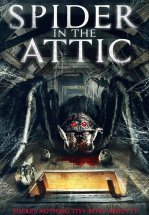 Паук на чердаке