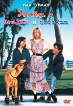 Правда о кошках и собаках