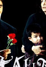 Долгожданный