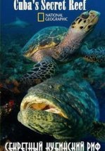 National Geographic. Секретный кубинский риф