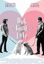 Лучший друг мужчины