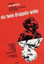 Как две капли воды