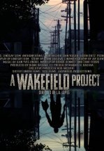 A Wakefield Project
