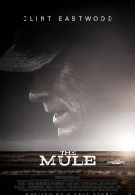 Наркокурьер