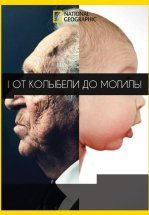 От колыбели до могилы