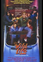 Без тормозов