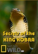 Загадки королевской кобры