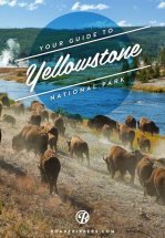Приключения Йеллоустоун