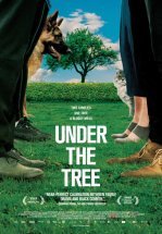 Под деревом