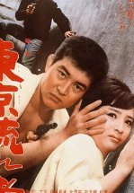 Токийский скиталец