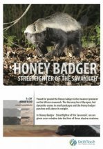 Жизнь одного медоеда